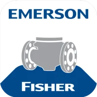 Emerson Severe Service